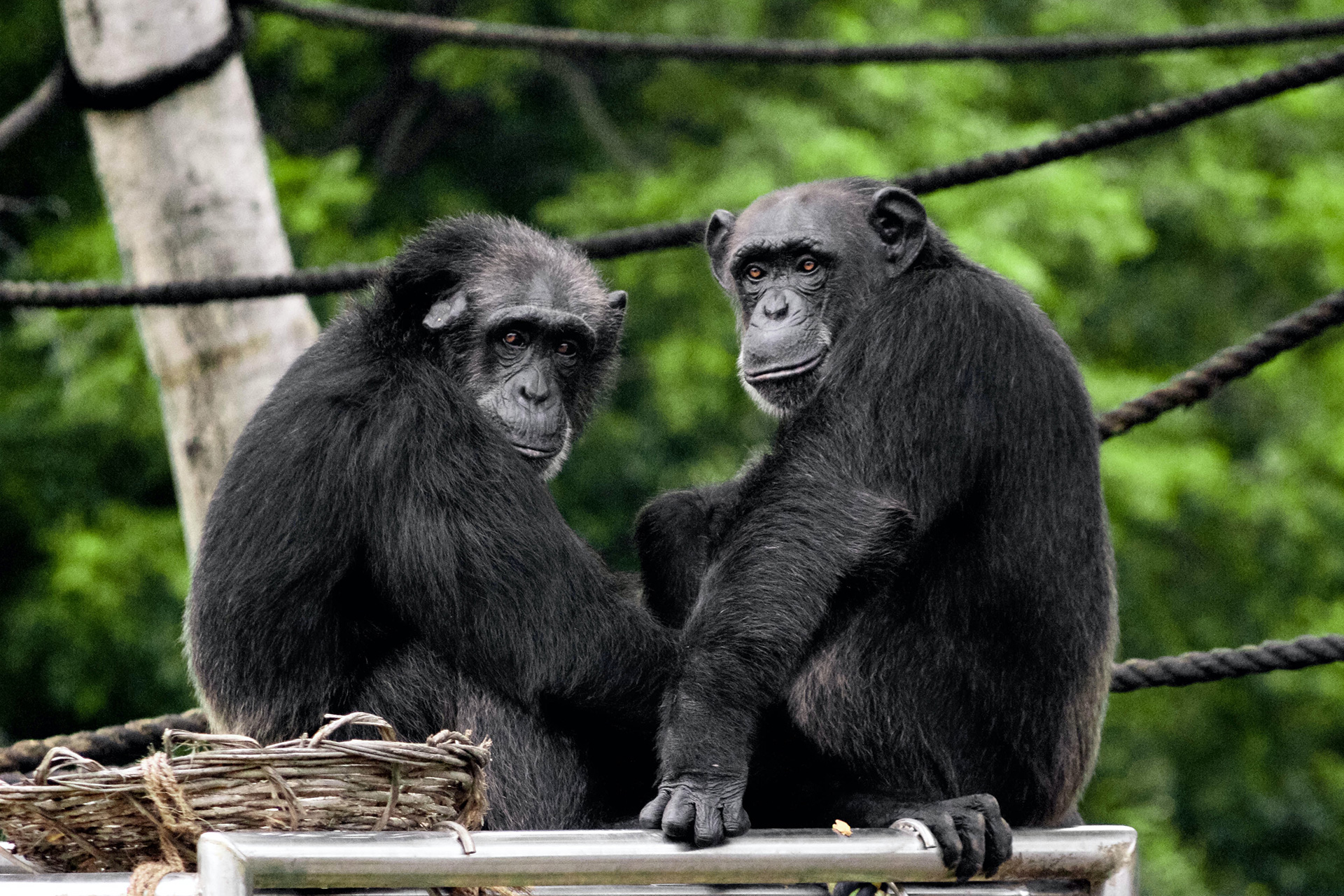 Your Adventure Travel Experts in the World