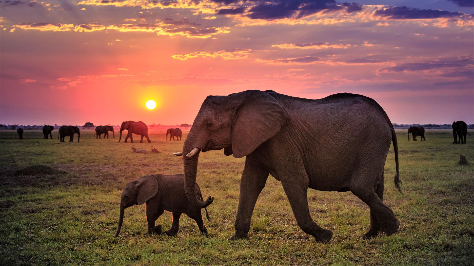 Nairobi - Maasai Mara - Nairobi