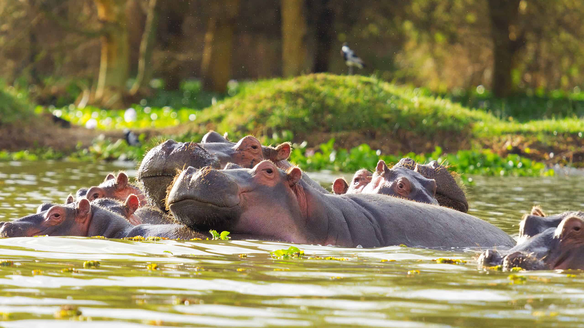 Nairobi - Samburu - Nanyuki – Nairobi